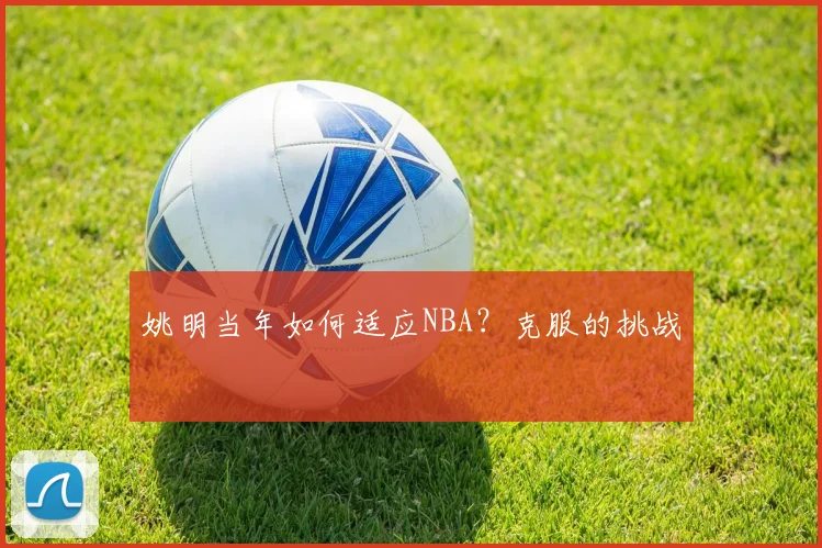 姚明当年如何适应NBA？克服的挑战